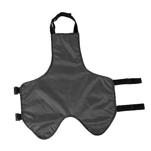 a ̕Jo[ ybg ̕ ̕ L p, DFS