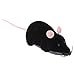 Topo di Simulazione Telecomandato RC Ratto Floccaggio Elettrico Giocattolo Interattivo per Cane Gatto Domestico (Nero)