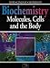 Biochemistry: Molecules, Cells, and the Body
