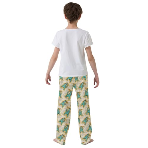 ZZXXB Dinosaur with Fire Boys Long Pants Soft Trousers Elastic Waist Kids Lounge Bottoms with Pockets S-XL3