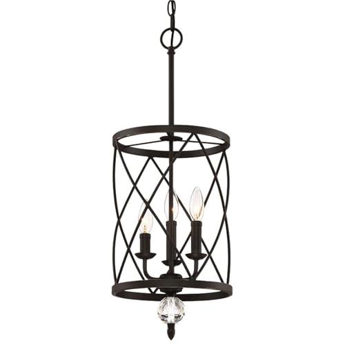 Cage métallique industriel réglable en hauteur avec cristal pour douille E12