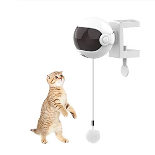 Bolas elétricas de brinquedo para gatos da Homezy, brinquedo interativo para gatos automotivos, conv