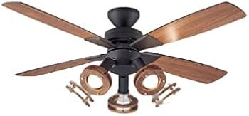 31Z1kjyJv0S._AC_UF350,