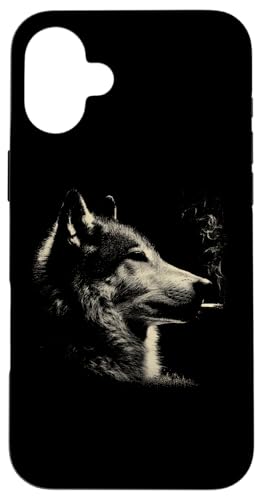 ????? ?????? ?? ?? ????? ?????? iPhone 16 Plus ?