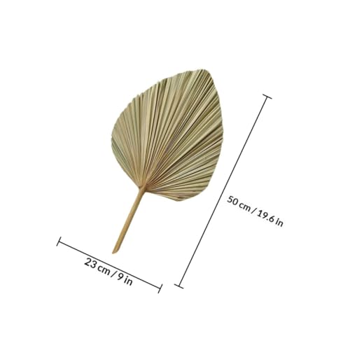 ノーブランド品 結婚式の装飾に最適な4個セット天然乾燥ヤシの葉の茎 約高さ23cm長さ50cmのフラワーアレンジメント用デコレーションプロップス ホテルやサンクスギビングにも [2]