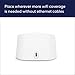 Amazon eero 6 mesh wifi extender with 1-month free eero Plus (auto-renews) - Add up to 1,500 sq. ft. of Wi-Fi 6 coverage to your existing eero mesh wifi network