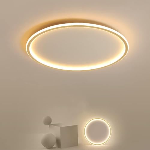 Plafonnier LED d'intérieur avec intensité variable 3000K 6000K pour salon