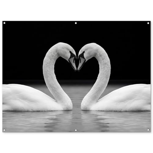 MuchoWow© Décoration Jardin 160x120 cm Bâche Décorative Posters Décoratifs Decoration Balcon Affiche Extérieur Déco Appartement Deco Exterieur Cygnes - Coeur - Noir - Blanc