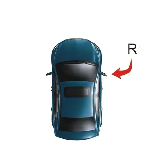 ZYSM Car Rear View Mirror Door Wing Glass For BMW X3 G01 X4 F26 G02 X5 F15 G05 X6 F16 G06 2015-2019 Heated Reversing Lens Replacement Parts(Right)