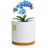 WSMKSZ 8 Inch Cylinder Flower Pots for Indoor Outdoor Plants, Medium Deep Plant Pots with Drainage Holes & Saucer, Decorative Plastic Planter Pots for Garden House Plants, White with Brown