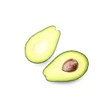 200 piezas semillas de aguacate para plantar, árboles frutales columnares frutas exóticas, comprar árbol de aguacate - Persea americana - comprar árboles frutales semillas orgánicas, semillas de