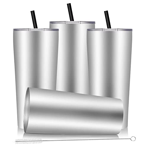 DOMICARE Stainless Steel Tumbler with Lid and Straw, Vacuum Insulated