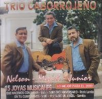 15 Joyas Musicales: Nelson, Mi