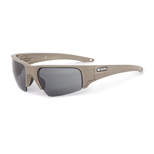 Safety Glasses,Clear/Smoke Gray