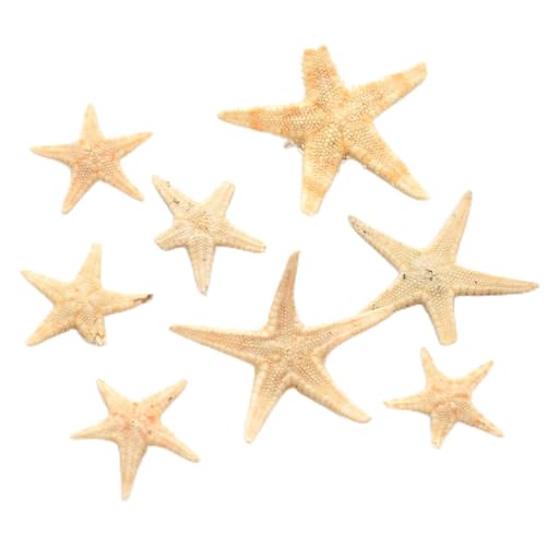 [����H�[ MY mama] MYmama �V�R ���A�� �q�g�f ���� �p�[�c ���W�� �n�[�o���E��