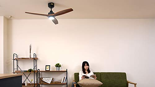 Amazon | JAVALO ELF(ジャヴァロエルフ) Modern Collection LED