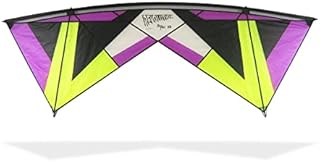 REVOLUTION Kites Reflex XX Sport Wing Kite (Handles / Line Set / 1 Spare Shaft / 1 Spare Reflex Ring) (Purple / Lime)
