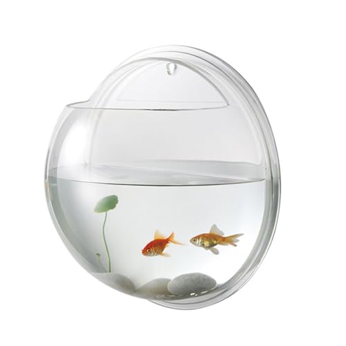 Zerodeko Transparent Wall Mounted Acrylic Fish Bowl, Hanging Wall Mounted Fish Tank Decor for Betta, Home Decor, Clear