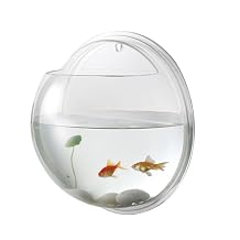Alipis Transparent Creative Wall Mounted Fish Tank Acrylic Fish Bowl Hanging Aquarium for Home Decor 6.7 Inch Space Saving Wall Aquarium Suitable for Betta and Air Plants