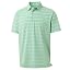 Light Green Stripe