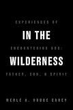 In the Wilderness: Experiences of Encountering God: Father, Son, and Spirit