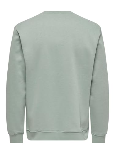 Only & Sons Onsconnor Reg Crew Neck Sweat Noos – Ansicht 4