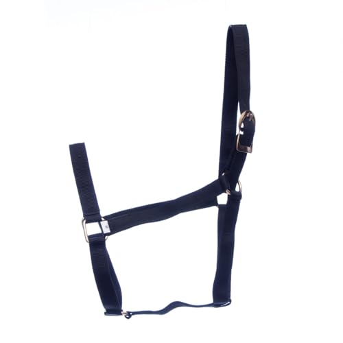 Jeffers Equine Turnout Nylon Halter for Horses, Black - 2 Ply Durable Nylon Webbing, Adjustable Headcollar w/Metal Hardware, Equestrian Horse Halter for Stable & Ranch Use - 2 Year Old 600-900 lbs