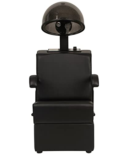 Buy-Rite Salon & Spa Equipment Kate Professional Hair Dryer And Chair Combo – Commercial Salon Dryer With 980 Watt Hood And Wood Frame Chair, Od-431Hl-1500 #TOP2