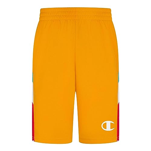 Champion Boy's Wavy Box Script Panel Shorts (Big Kids)