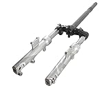  2EXTREME Gabel komplett kompatibel für Kymco Agility 50ccm Basic CK50QT-5 KD10SH 4-Takt AC, luftgekühlt
