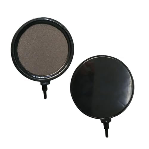 VERDANVERSE pk_fv[g _fψ CA ϋvGAXg[ ك|vΉ