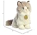 Aurora® Realistic Miyoni® Ragdoll Cat Stuffed Animal - Lifelike Details Make a Cherished Companion - Perfect for Decorating Bedrooms or Classrooms - White 8 Inches