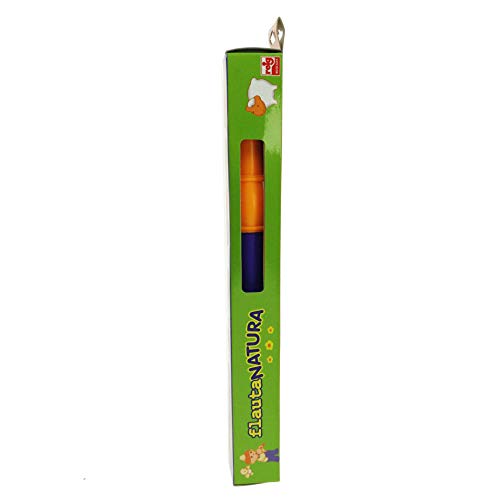 Reig Recorder With Score And Cleaner - 4