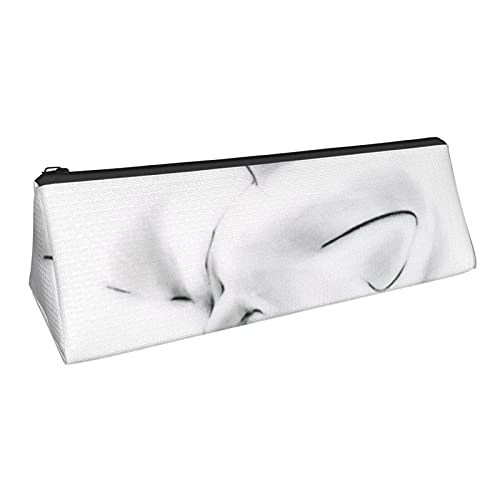 Preisvergleich Produktbild Multifunktionales Federmäppchen mit Reißverschluss, dreieckiges Stifteetui, Stifttasche, Stifttasche, Halter für Make-up-Pinsel, Schule, Arbeit, Bürobedarf, Schreibwaren, Nickerchen Katze Qsc