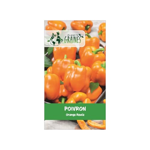 50 Graines de Poivron Précoce 'Rewia' Orange Vif | Très Hâtif, Sucré & Juteux | Culture Pleine Terre & Sous Abri
