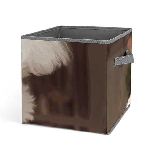 Cube de rangement pliable caniche pour désencombrer étagères et armoires