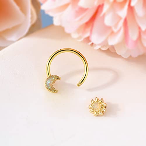 Melighting 16G Septum Rings Moon Daith Piercing Jewelry Sun Black Septum Jewelry 316L Surgical Steel Nose Rings Hoop Helix Earrings Cartilage Jewelry For Women #TOP5