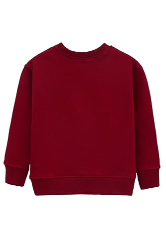 Lilax Boys Basic Crewneck Long Sleeve Pullover Cotton Kids Sweatshirt2