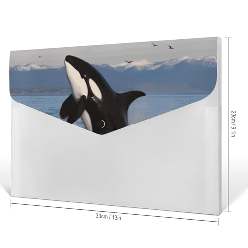 Porte-documents 6 compartiments Killer Whale trieur robuste pour organiser vos CV