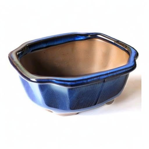 Amazon.co.jp: うめきち盆栽用品店 盆栽鉢 5.5号 木瓜鉢 モッコ鉢 青色