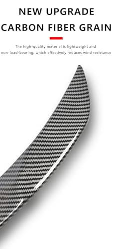 Becquet modèle Y Juniper 2025 accessoire coffre arrière carbone brillant ABS