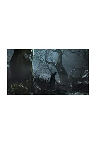 Sony Bloodborne PS4 Standard Français PlayStation 4 Neuf - vue 7