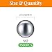 1500 Pcs M2 Stainless Steel Bearing Balls, Metric Precision Bike Ball Bearings for Acrylic Paints, Nail Polish & Epoxy Resin, Durable Agitator Balls for Ball Bearings