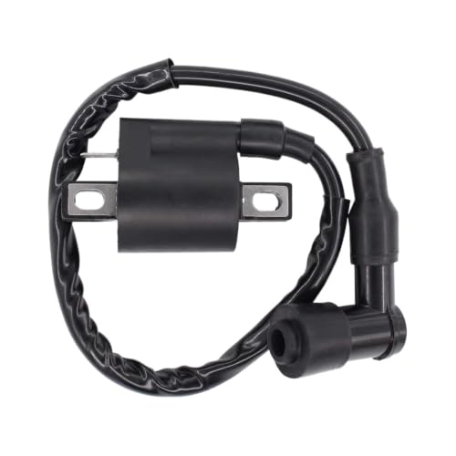 Bobine d'allumage résoud les problèmes de démarrage pour Arctic Cat 300 400 et Kodiak