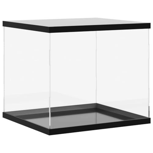 vidaXL Vitrine, Schaukasten Staubschutz, Sammlervitrine für Sammlerstücke Spielzeug Figuren, Ausstellungsbox Acrylbox, Transparent Acryl