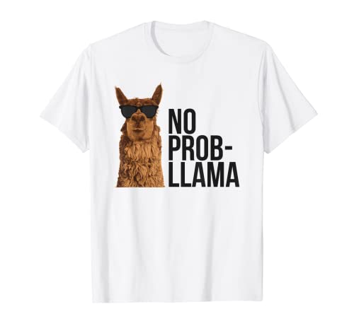 Gracioso, no hay problema, llama Camiseta