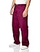 Carhartt Men's Ripstop Multi-Cargo Scrub Pant, Wine, X-Large