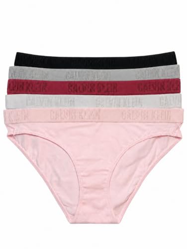 Calvin Klein Monochrome Cotton Bikini Underwear 5 Pack (Berry Blush Black Gray Mix - Large) - image 1