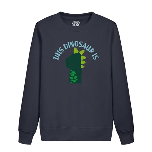 Sweatshirt enfant dinosaure 1 birthday kids party gift vêtement coton
