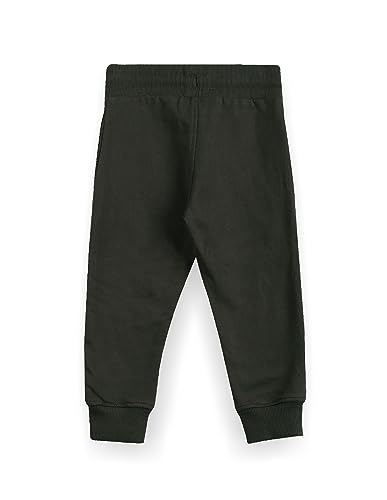 Image of U.S. POLO ASSN. Kids Regular fit Boys Cotton Track Pants